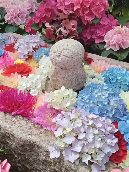 岡寺(龍蓋寺)(奈良県)