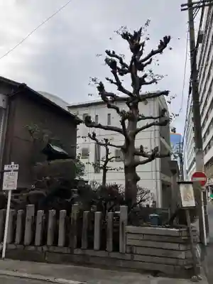 天王神社／紅葉狩社格納庫(愛知県)