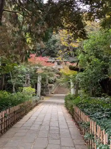 赤坂氷川神社(東京都)