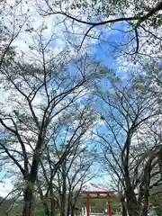 子檀嶺神社(長野県)