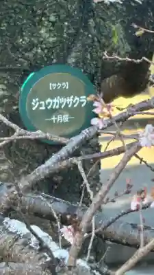 清水観音堂(東京都)