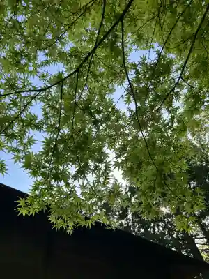滑川神社 - 仕事と子どもの守り神(福島県)