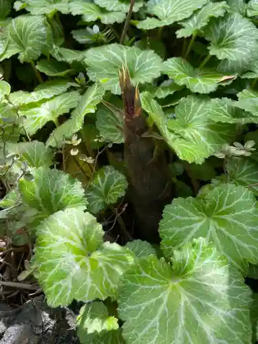 遠照山 光明寺（尼崎大仏）(兵庫県)