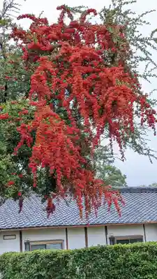 西迎寺(京都府)