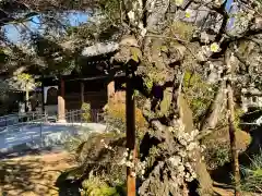 大正寺の建物その他