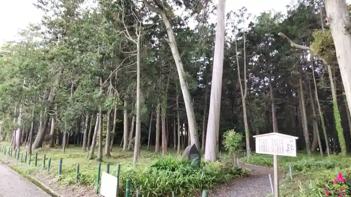 賀茂神社の自然