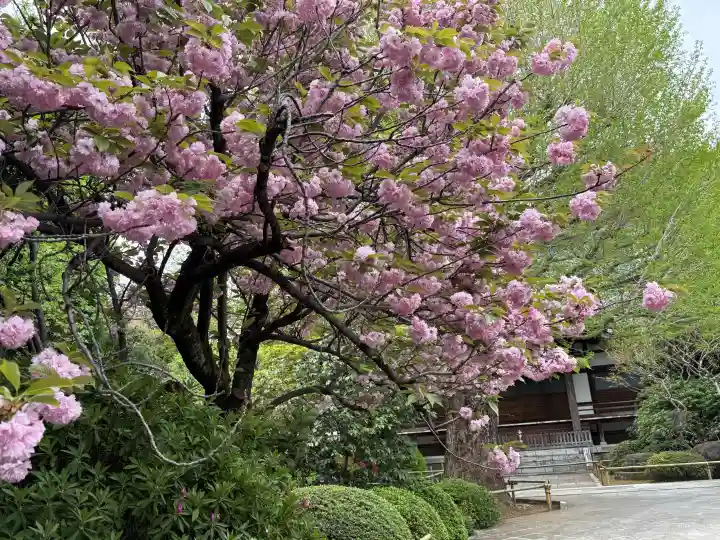 高円寺の{uncategorized: "未分類", other: "その他", undefined: "問題あり", building: "その他建物", grave: "お墓", sacred_gate: "鳥居", guardian: "狛犬", statue: "像", buddha: "仏像", history: "歴史", nature: "自然", garden: "庭園", animal: "動物", pagoda: "塔", temizu: "手水舎", mountain_gate: "山門・神門", sanctuary: "本殿・本堂", subordinate: "末社・摂社", art: "芸術", scenery: "景色", jizo: "地蔵", ema: "絵馬", goshuin: "御朱印", omikuji: "おみくじ", items: "授与品その他", amulet: "お守り", goshuincho: "御朱印帳", eats: "食事", festival: "お祭り", votive_dance: "神楽", shichigosan: "七五三参", wedding: "結婚式", experience: "体験その他", initially: "初詣", around: "周辺", anti_infection: "感染症対策"}