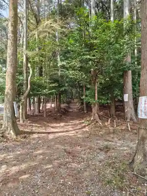 勝持寺（花の寺）(京都府)