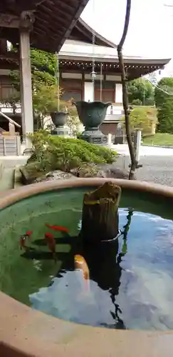 報国寺のその他建物