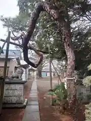 東愛宕神社(埼玉県)