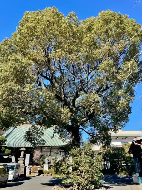 宗隆寺の{uncategorized: "未分類", other: "その他", undefined: "問題あり", building: "その他建物", grave: "お墓", sacred_gate: "鳥居", guardian: "狛犬", statue: "像", buddha: "仏像", history: "歴史", nature: "自然", garden: "庭園", animal: "動物", pagoda: "塔", temizu: "手水舎", mountain_gate: "山門・神門", sanctuary: "本殿・本堂", subordinate: "末社・摂社", art: "芸術", scenery: "景色", jizo: "地蔵", ema: "絵馬", goshuin: "御朱印", omikuji: "おみくじ", items: "授与品その他", amulet: "お守り", goshuincho: "御朱印帳", eats: "食事", festival: "お祭り", votive_dance: "神楽", shichigosan: "七五三参", wedding: "結婚式", experience: "体験その他", initially: "初詣", around: "周辺", anti_infection: "感染症対策"}