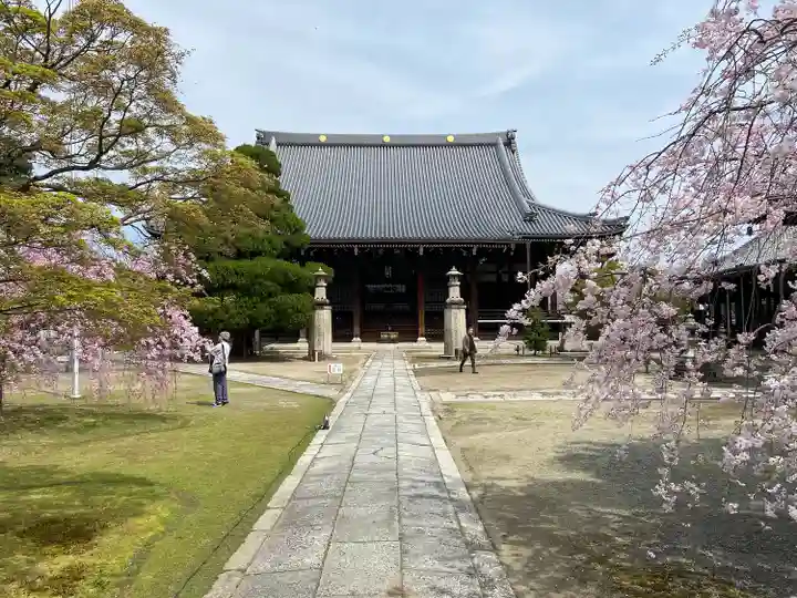 妙顯寺(妙顕寺)(京都府)