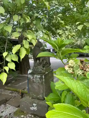 大吉寺(東京都)