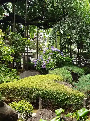 玉蔵院(埼玉県)