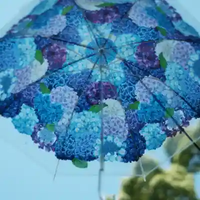 柳谷観音　楊谷寺(京都府)