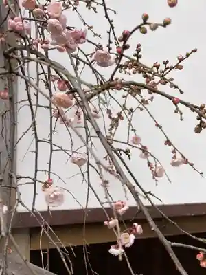 弘明寺(神奈川県)