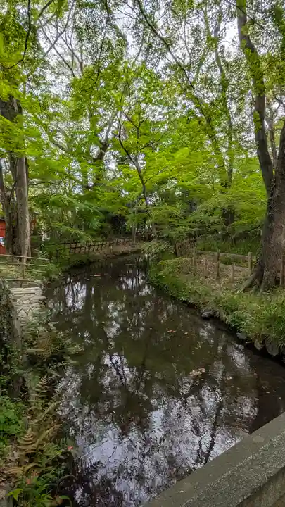 賀茂御祖神社(下鴨神社)の庭園
