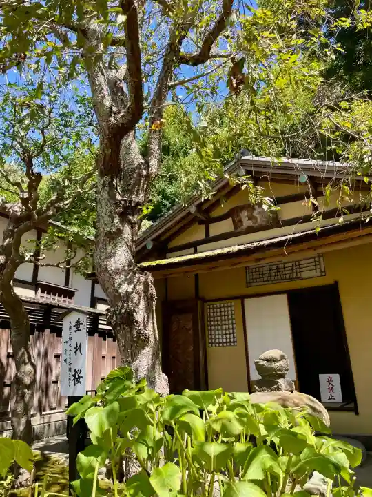 佛日庵(神奈川県)