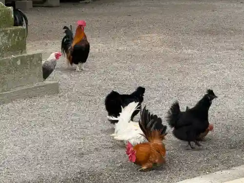 石上神宮(奈良県)
