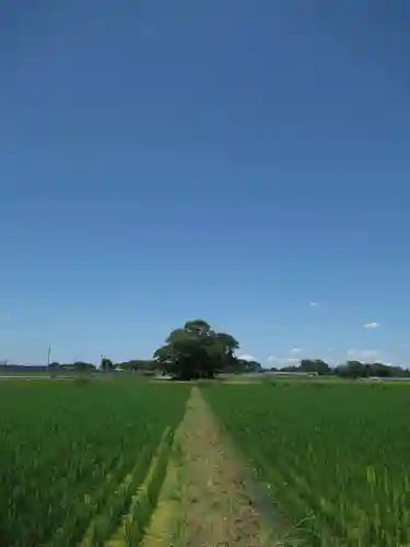神明神社(千葉県)