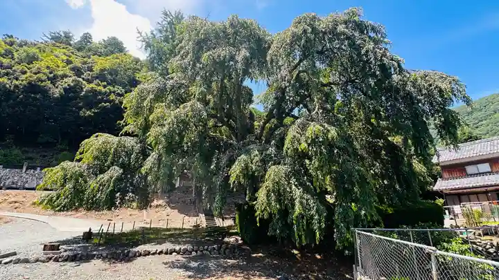 妙祐寺(福井県)
