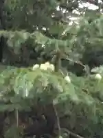 信濃境神社(長野県)