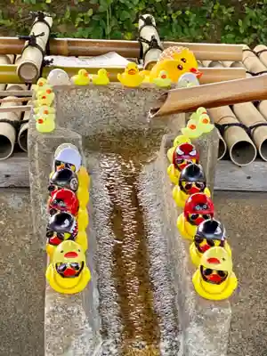 くろ谷 金戒光明寺の手水舎