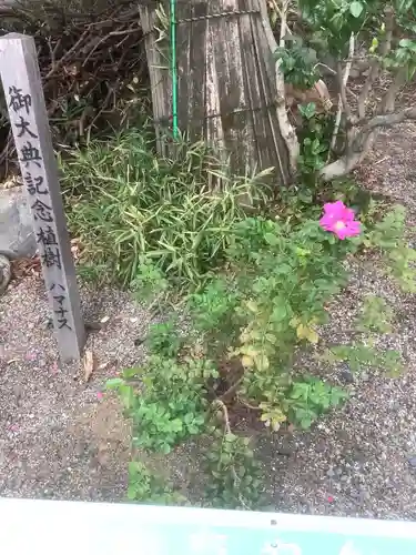 萱津神社の自然