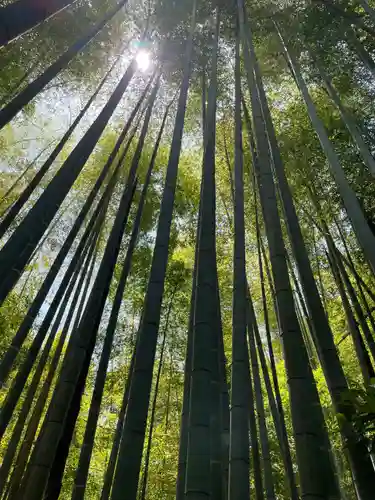 報国寺(神奈川県)