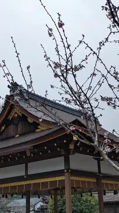 平野神社(京都府)