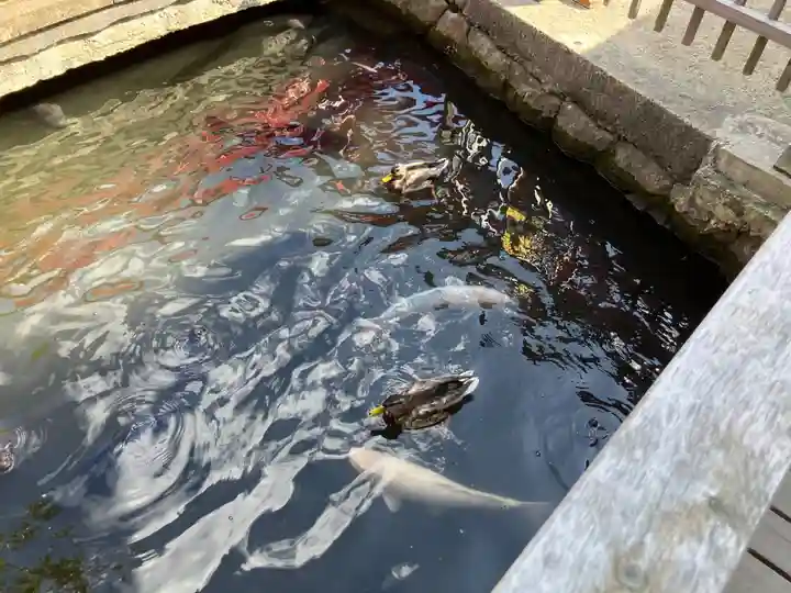 善知鳥神社(青森県)