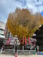 櫛田神社の自然