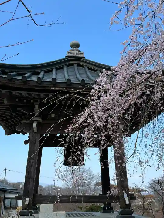 陽林寺の{uncategorized: "未分類", other: "その他", undefined: "問題あり", building: "その他建物", grave: "お墓", sacred_gate: "鳥居", guardian: "狛犬", statue: "像", buddha: "仏像", history: "歴史", nature: "自然", garden: "庭園", animal: "動物", pagoda: "塔", temizu: "手水舎", mountain_gate: "山門・神門", sanctuary: "本殿・本堂", subordinate: "末社・摂社", art: "芸術", scenery: "景色", jizo: "地蔵", ema: "絵馬", goshuin: "御朱印", omikuji: "おみくじ", items: "授与品その他", amulet: "お守り", goshuincho: "御朱印帳", eats: "食事", festival: "お祭り", votive_dance: "神楽", shichigosan: "七五三参", wedding: "結婚式", experience: "体験その他", initially: "初詣", around: "周辺", anti_infection: "感染症対策"}