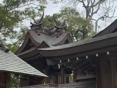 顕宗仁賢神社の本殿・本堂