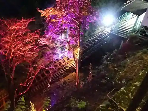 大山阿夫利神社の景色