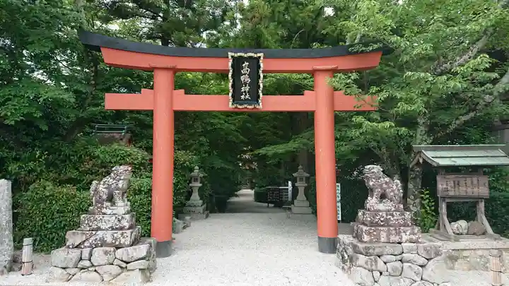 高鴨神社の鳥居