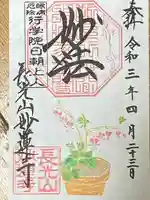 妙蓮寺の御朱印