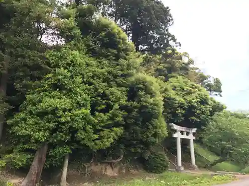 谷上神社の自然