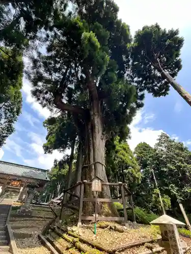 身延山奥之院思親閣(山梨県)