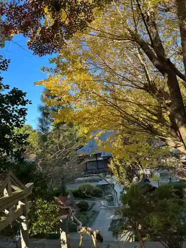 天台宗　長窪山　正覚寺の自然