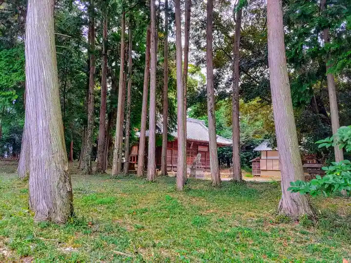 白鳥神社(白鳥町)の自然