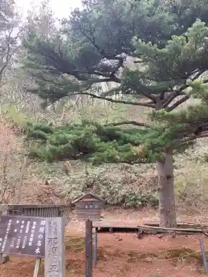 那須温泉神社(栃木県)