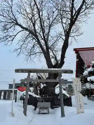 一本栗地主神社の{uncategorized: "未分類", other: "その他", undefined: "問題あり", building: "その他建物", grave: "お墓", sacred_gate: "鳥居", guardian: "狛犬", statue: "像", buddha: "仏像", history: "歴史", nature: "自然", garden: "庭園", animal: "動物", pagoda: "塔", temizu: "手水舎", mountain_gate: "山門・神門", sanctuary: "本殿・本堂", subordinate: "末社・摂社", art: "芸術", scenery: "景色", jizo: "地蔵", ema: "絵馬", goshuin: "御朱印", omikuji: "おみくじ", items: "授与品その他", amulet: "お守り", goshuincho: "御朱印帳", eats: "食事", festival: "お祭り", votive_dance: "神楽", shichigosan: "七五三参", wedding: "結婚式", experience: "体験その他", initially: "初詣", around: "周辺", anti_infection: "感染症対策"}