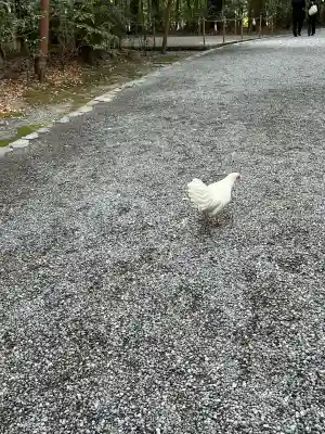 伊勢神宮外宮（豊受大神宮）(三重県)
