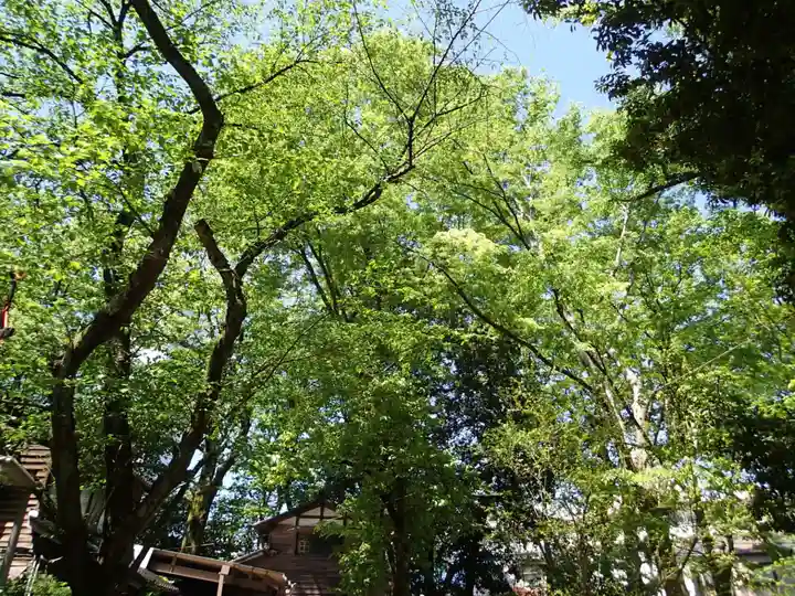 春日神社の自然