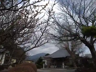 本法寺(静岡県)