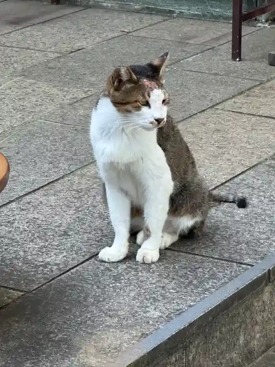 王子神社(徳島県)