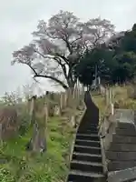 浅間神社(東京都)