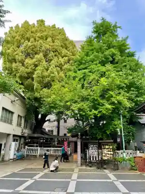 鳥越神社(東京都)
