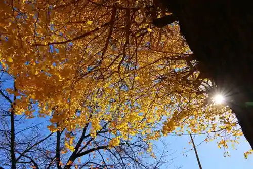 晴門田神社(福島県)